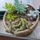 센텀 행정사 사무소 이미지