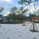 청춘역