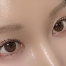 로마니입니다 | 마스카라 대신 지우기편한 블랙 속눈썹 영양제 로마니 속눈썹 세럼 추천