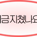 이자카야호 - 진천군 시가로 46 | 이자카야호