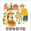 드림농원 민박 이미지