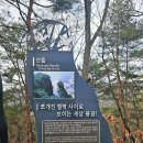 와이쉼표 | 강원도 영월 가볼만한곳ㅣ젊은달와이파크 섶다리 청령포 선돌 일미닭강정 1박 2일 여행 완벽 정리