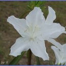 부천종합운동장 이미지