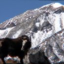 돈키호테 발전소 이미지