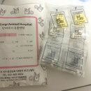 닥터캣 고양이병원 | 대전 고양이 건강검진 닥터코기동물병원 치주염 치은염 치아흡수성병변 발치후기