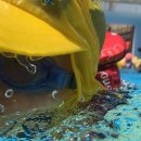 한국체대스타태권도장 이미지