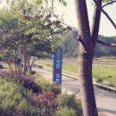 강촌강변오토캠핑장 이미지