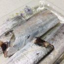 제주은갈치 | 산지직송으로 만나는 두툼한 제주 은갈치 손질갈치 솔직 후기 박서방 추천