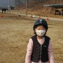 세종시장군승마장 이미지