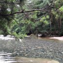 작천정휴게소 이미지