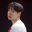 진 티브이데일리