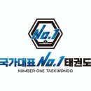 국가대표 넘버원 태권도 이미지