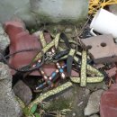 거야농장 이미지