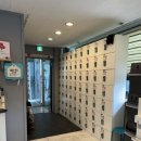 리볼트짐 이미지