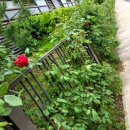 운성농장 이미지