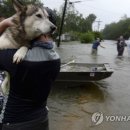 소동펜션민박 이미지