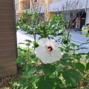 옥정로4길 이미지