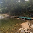 용운민박 이미지