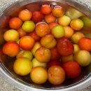 오남매농장 이미지