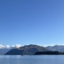 조록나무 뿌리 형상물 | 뉴질랜드 남섬 렌트카 여행 4일차 : 와나카 나홀로나무, 리폰 와이너리, 시크릿 사우나, 퀸스타운 숙소