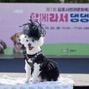댕댕하개