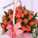 오늘 생일축하 메세지 이미지