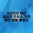 대한주유소 | 2025년 최신 실시간 주유소 가격 확인 방법 총정리