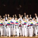 아리랑 태권도장 이미지