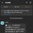 인포젠랩 앵무새 성별검사 리얼후기! 제대로 퀄이 나온 트루블루 모란앵무 4둥이들