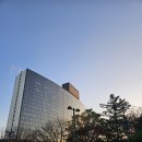 허니딜라이트 이미지