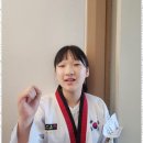 미르태권도장 이미지