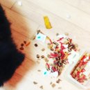 남양사료 이미지