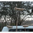 생활목공예 이미지