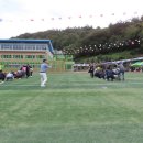 화양중학교