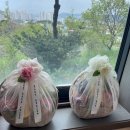 [보령 과일] 과일 선물에 좋은 예담과 (오픈 시간, 상견례 과일 후기)