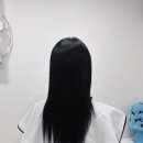 하치붙임머리 이미지