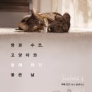 고양이라좋은날 이미지