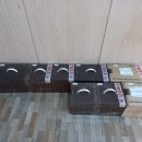 진보손한의원 이미지