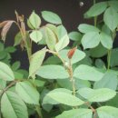 한우리교회 이미지