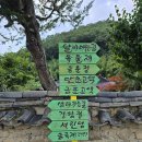 만초고택