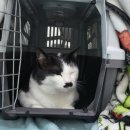 키움동물병원 이미지