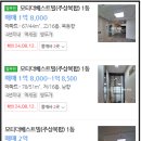 모티더베스트빌 이미지