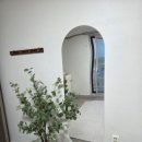 선유 손칼국수 이미지