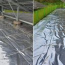 해뜰날태양광발전소 이미지