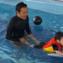 391 스테이 이미지