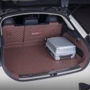 이거난 | 테슬라 대신 이거 산 이유… 중국에서 난리난 지커 001 실제 후기