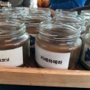 한국코나