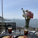 올리비아스테이 이미지