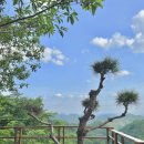 산골흙집 | 영월 산골흙집, 나만 알고 싶은 강원도 산뷰 숙소