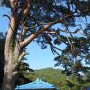 수로부인길 이미지